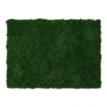 Sheet Moss (Flat Moss)