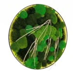 Round Moss Wall Art with Mixed Moss, Decorative Branches, and LED Lighting