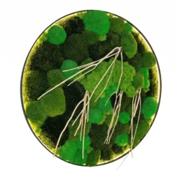 Round Moss Wall Art with Mixed Moss, Decorative Branches, and LED Lighting