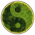 Round Moss Wall Art Yin Yang with Contour Lighting