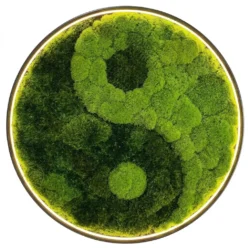 Round Moss Wall Art Yin Yang with Contour Lighting
