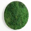 Round Wall Art with Preserved Fern Moss – Natural Elements for Your Home