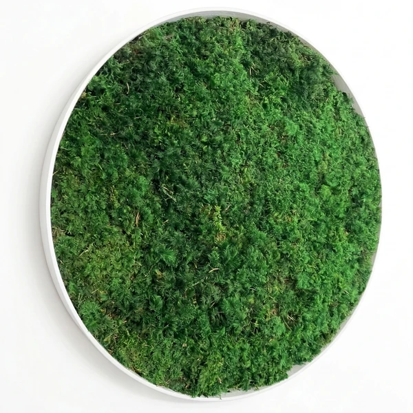 Round Wall Art with Preserved Fern Moss – Natural Elements for Your Home