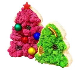 Two moss Christmas trees on wood bases. Pink tree with baubles, red star; green tree with dried orange slices, pinecone.