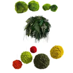 Moss Balls