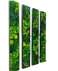 Preserved Plant Wall Art