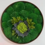 Round Moss Wall Art – Flower from Moss and Leaves