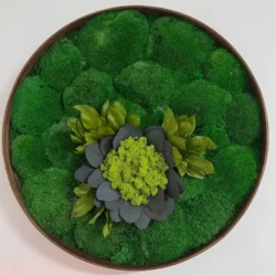 Round Moss Wall Art – Flower from Moss and Leaves
