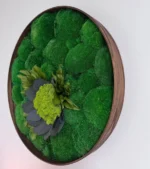 Round Moss Wall Art – Flower from Moss and Leaves