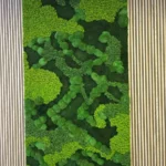 Colorful Moss Mix