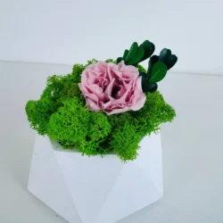 Geometric decorative vase with preserved rose and Iceland moss