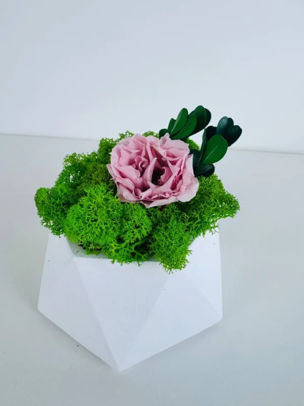 Geometric decorative vase with preserved rose and Iceland moss