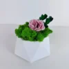White geometric vase with green Iceland moss, an antique pink Infinity rose, and small green leaves.