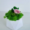 White geometric vase with green Iceland moss and a pink rose