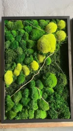 Moss Wall Art 3-Piece Set Nature Trilogy with Bun Moss and Provence Moss