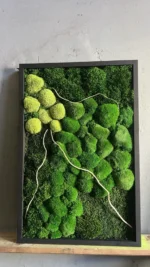 Moss Wall Art 3-Piece Set Nature Trilogy with Bun Moss and Provence Moss