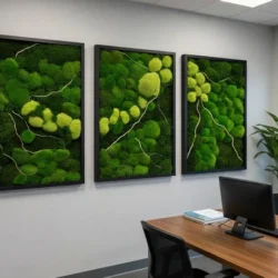 Moss Wall Art 3-Piece Set Nature Trilogy with Bun Moss and Provence Moss