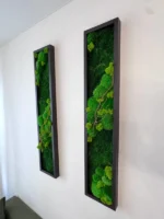 Side view of two narrow moss wall art pieces with green bun moss and branches in black wooden frames