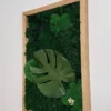 photo_2026-06-29_10-35-39_result Side view of a rectangular moss art with a green Monstera leaf and a light wooden frame