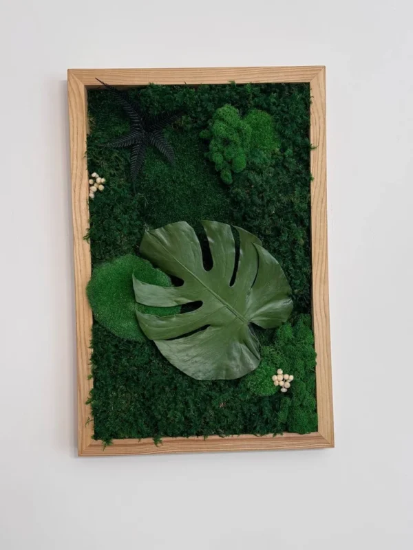 photo_2026-06-29_10-35-42_result Rectangular moss art with a large Monstera leaf and a light wooden frame on a white wall