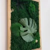 photo_2026-06-29_10-35-46_result Side view of moss art with Monstera leaf and fern in a light wooden frame on a white wall.