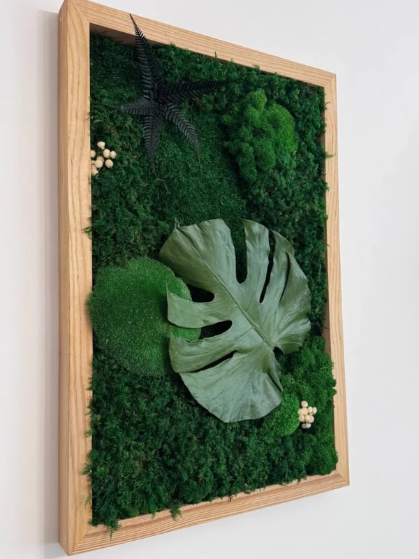 photo_2026-06-29_10-35-46_result Side view of moss art with Monstera leaf and fern in a light wooden frame on a white wall.